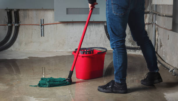 Best Sewage cleanup and water damage restoration  in Millersport, OH