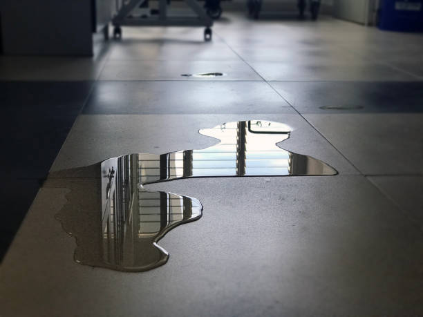 Best Professional water damage repair  in Millersport, OH