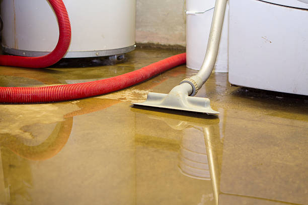 Best Flood damage cleanup  in Millersport, OH
