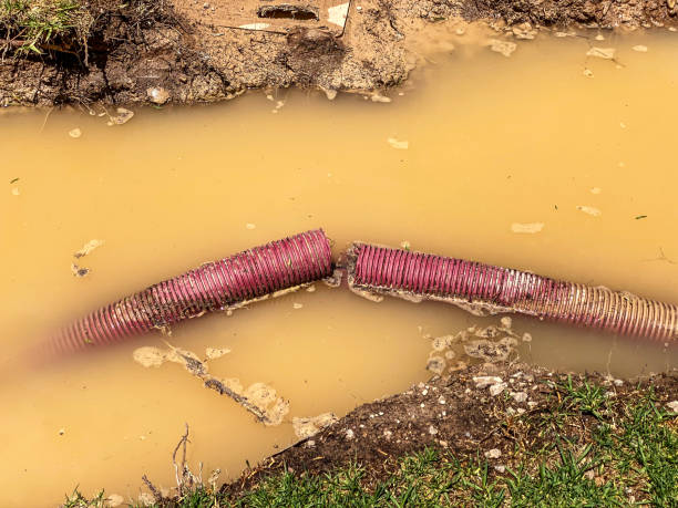 Best Basement water damage restoration  in Millersport, OH