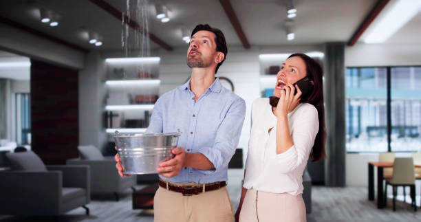 Best Water damage cleanup near me  in Millersport, OH