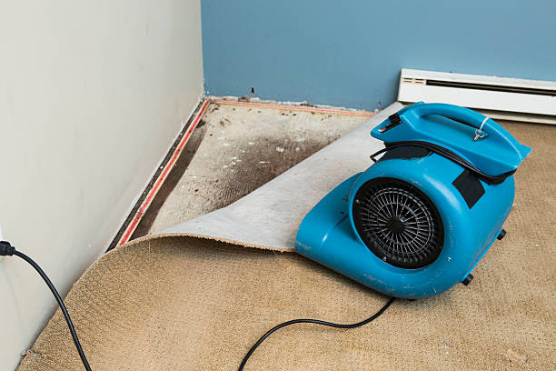 Best Mold removal after water damage  in Millersport, OH